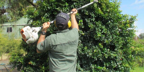 Choosing A Hedge Trimmer