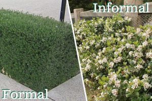 Formal vs Informal Hedges