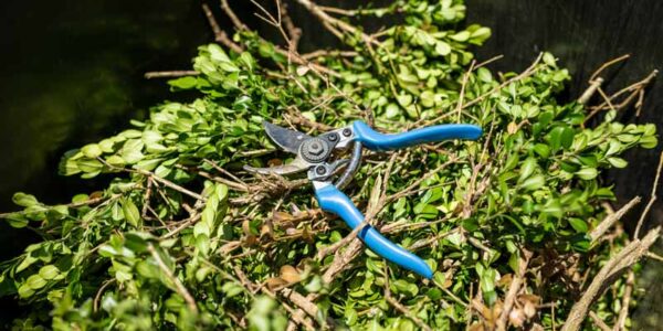 Clean Up Properly After Hedging: