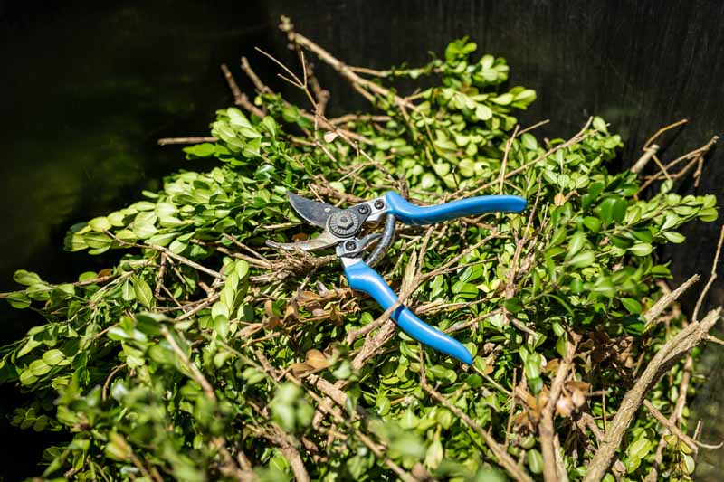 Clean Up Properly After Hedging: